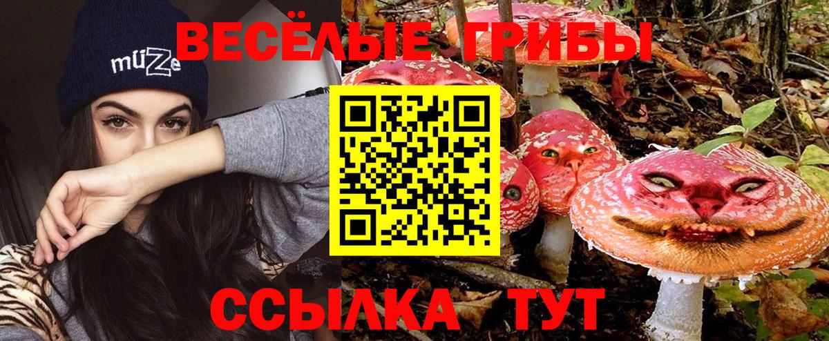Галлюциногенные грибы Magic Shrooms Нижнеудинск