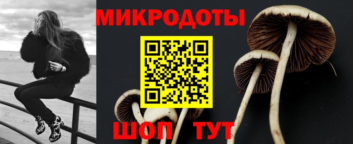 Галлюциногенные грибы Psilocybe  Галлюциногенные грибы Psilocybine cubensis  Вход с VPN  Нижнеудинск 