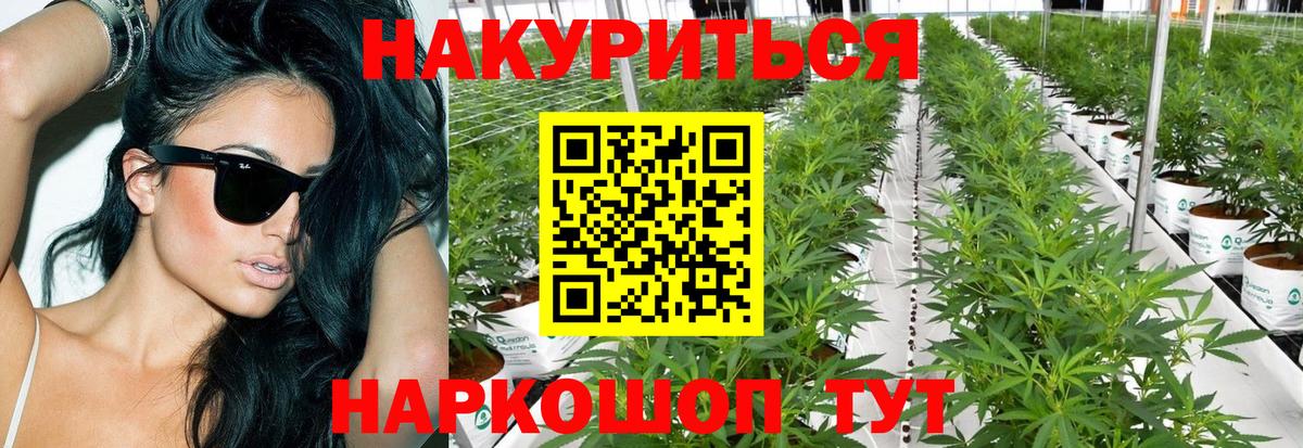 Alpha PVP Нижнеудинск
